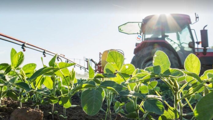 Bumerania a la vanguardia de la robótica para la agricultura