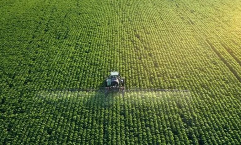 Las Provincias: CaixaBank premia a las quince mejores startups del sector agrotech. Bumerania entre ellas