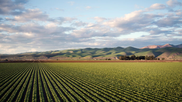 AgroBank premia a las 15 mejores startups del sector agrotech