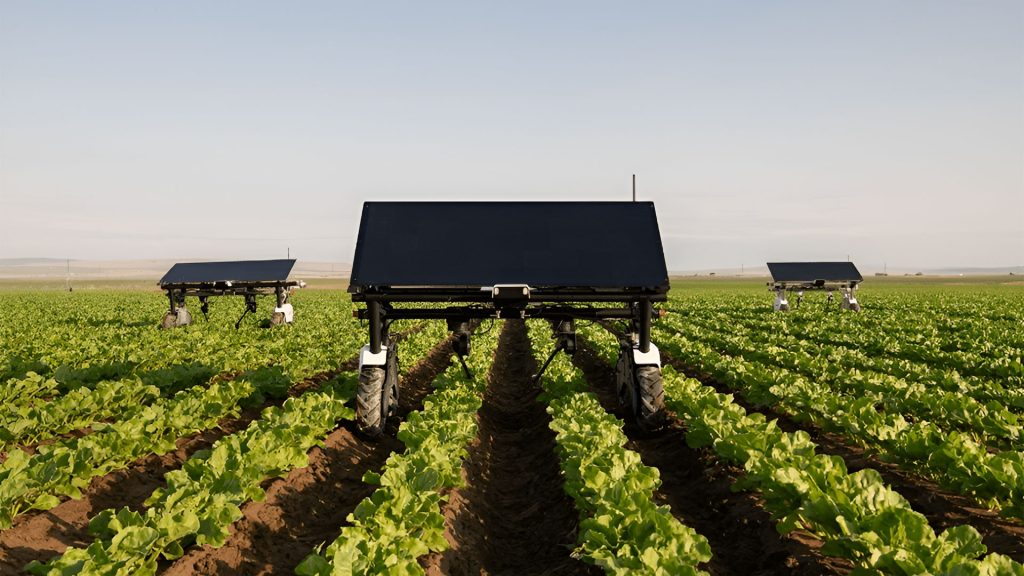 Robot agricultor