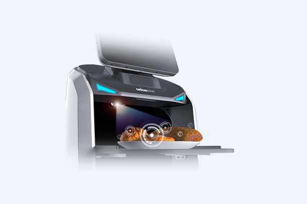 Experiencia de interacción​