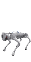 robot-perro